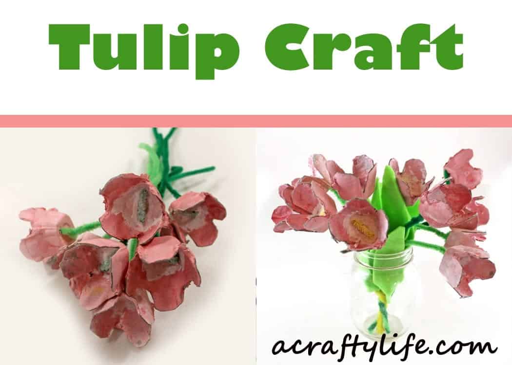egg carton tulip craft - spring flower kid craft - acraftylife.com