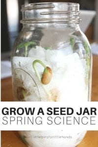 grow a seed jar - spring kid crafts- kid crafts - acraftylife.com #preschool #craftsforkids #crafts #kidscraft