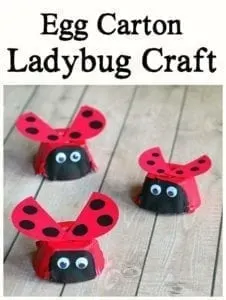 ladybug egg carton craft - bug crafts- acraftylife.com