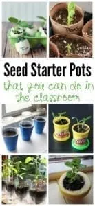 seed starter pots - spring kid crafts- kid crafts - acraftylife.com #preschool #craftsforkids #crafts #kidscraft