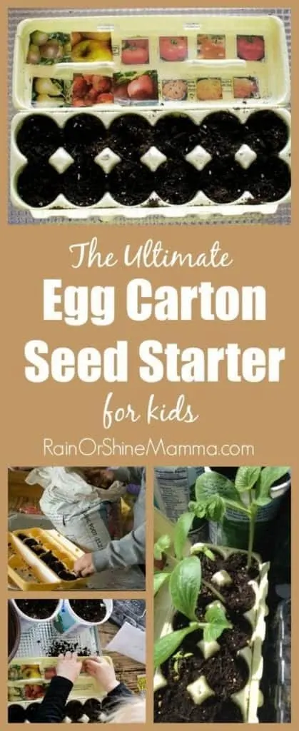 egg carton seed starter craft for kids - garden craft for kids - spring craft - acraftylife.com #preschool #craftsforkids #crafts #kidscraft