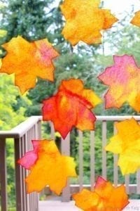 leaf suncatcher - autumn kid craft - fall kid crafts crafts for kids- acraftylife.com #preschool #craftsforkids #kidscrafts