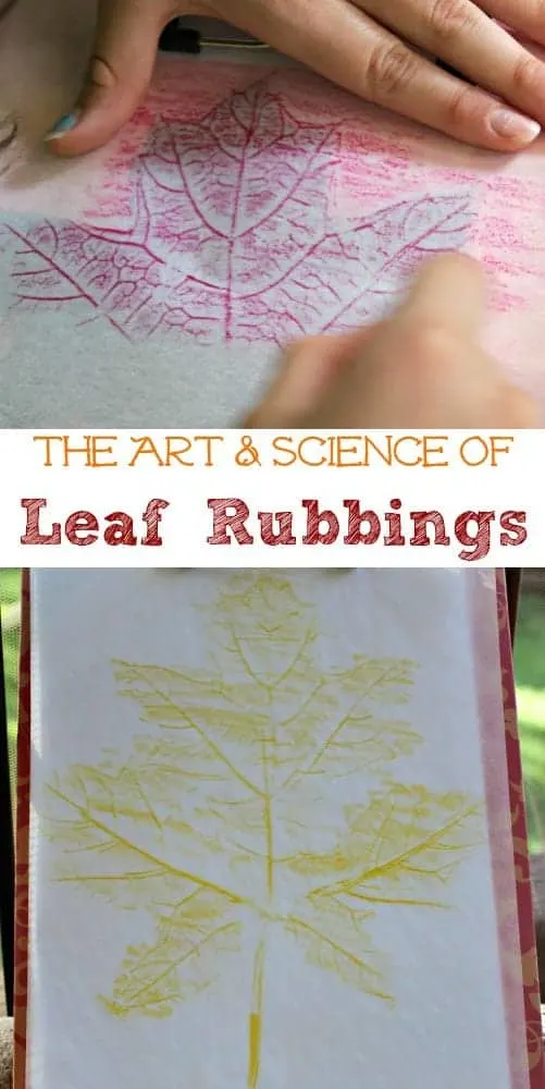 leaf rubbing- autumn kid craft - fall kid crafts crafts for kids- acraftylife.com #preschool #craftsforkids #kidscrafts
