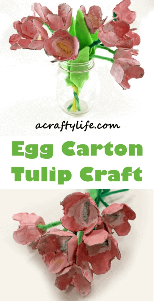 Egg Carton Tulip Craft - recycle flower craft Spring Flower Kids Craft - acraftylife.com