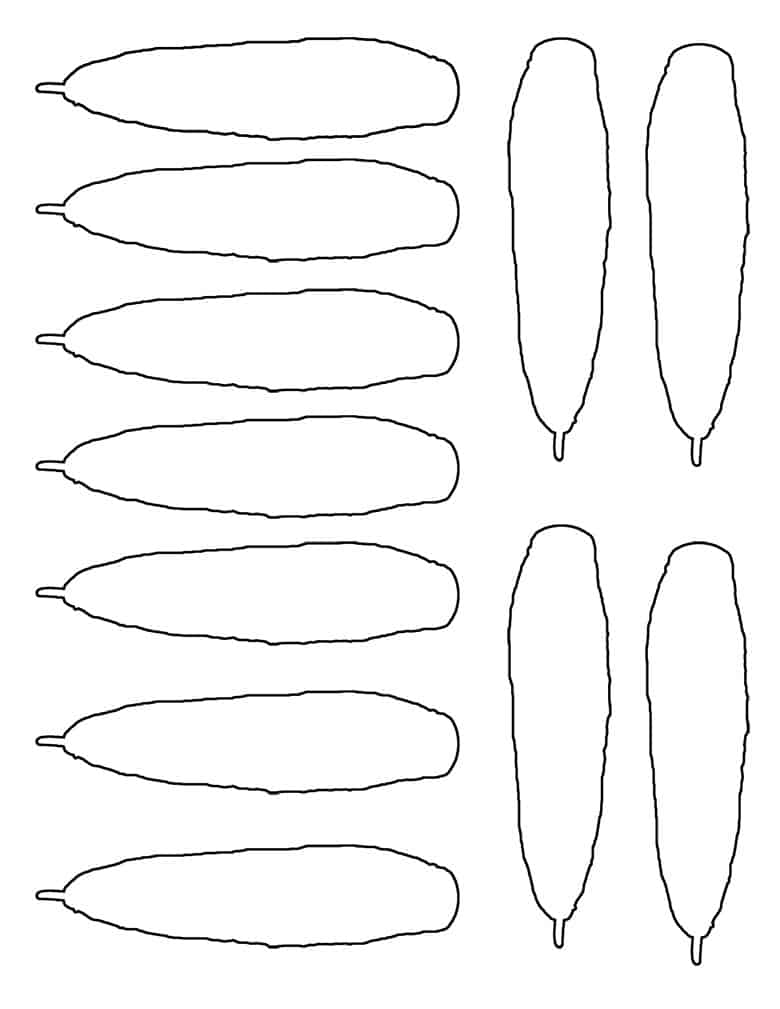 turkey feather template 