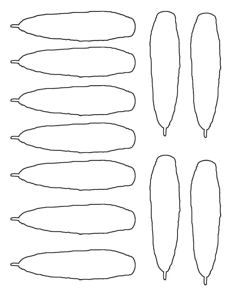 turkey feather template 
