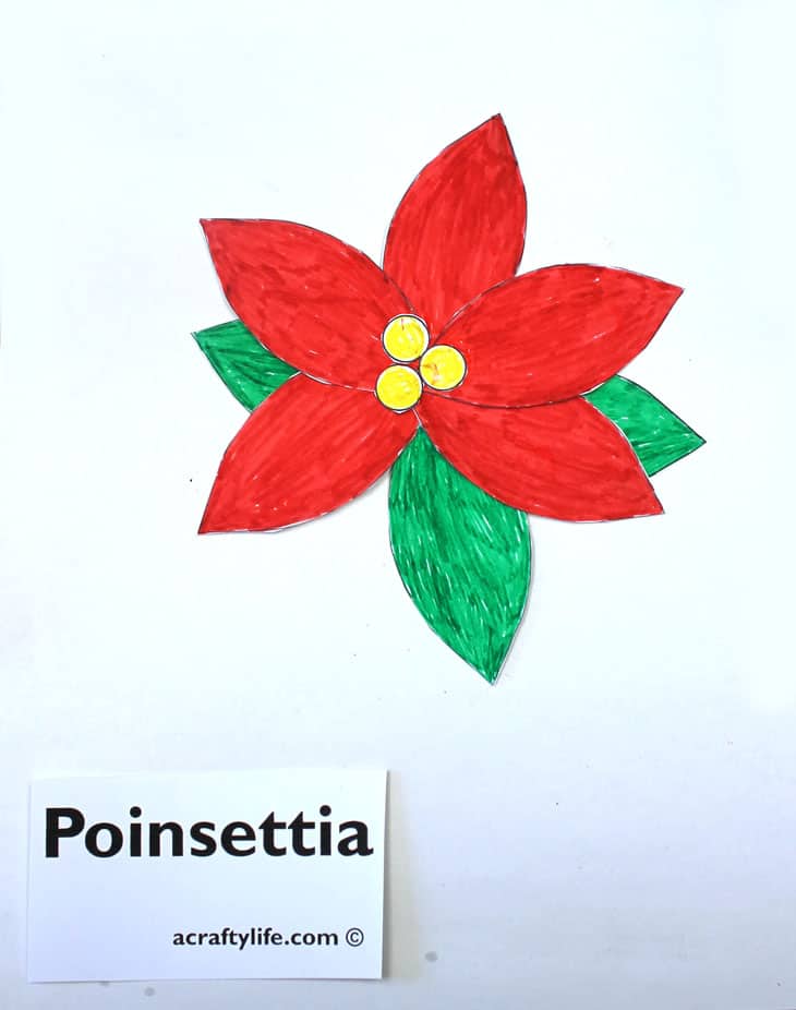 Poinsettia craft for kids - free poinsettia template printable outline -Christmas craft - acraftylife.com #kidscrafts #craftsforkids #diy