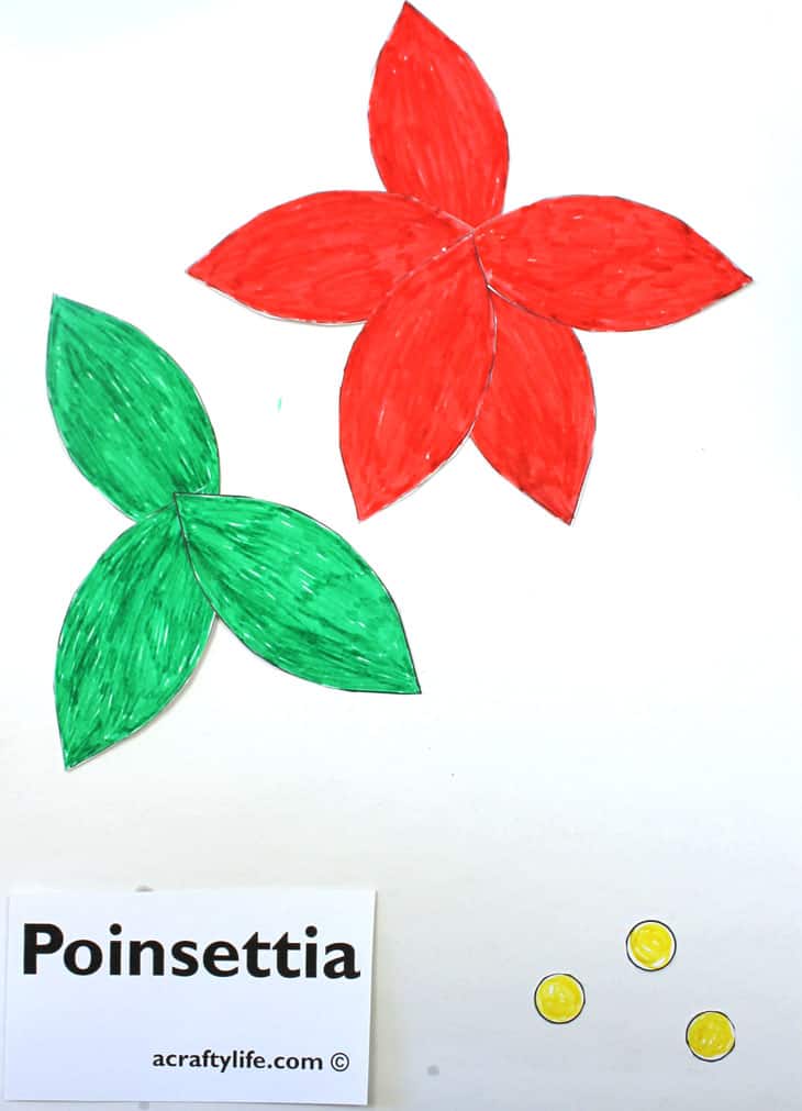 Poinsettia craft for kids - free poinsettia template printable outline -Christmas craft - acraftylife.com #kidscrafts #craftsforkids #diy