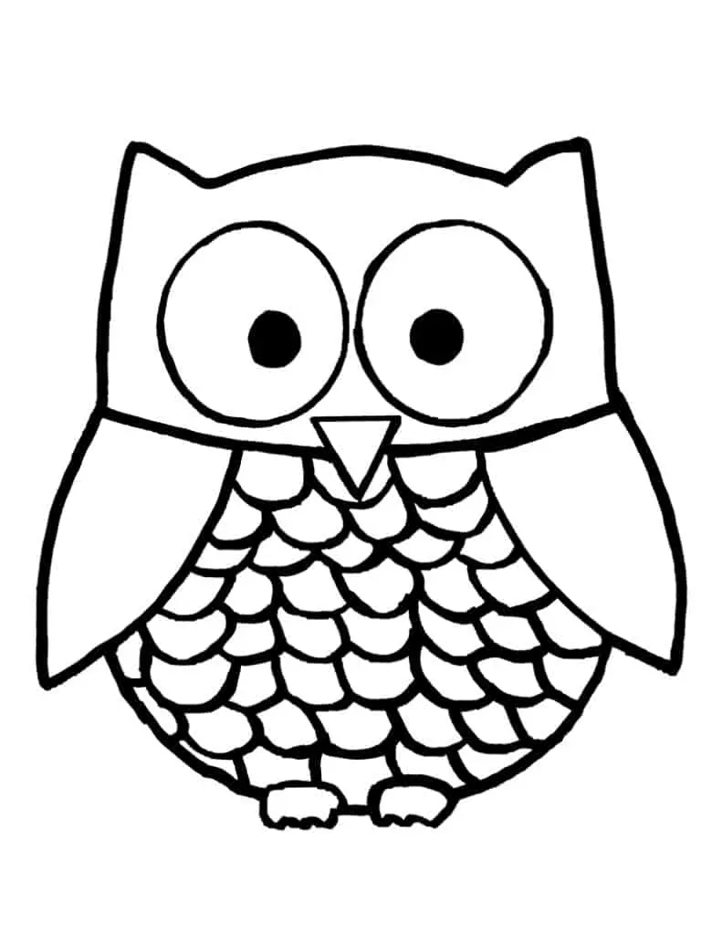 Color a cute owl for Valentine's Day. Print out these free owl pages.