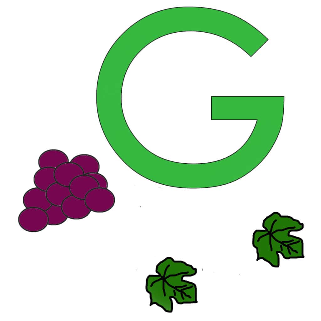 Make this fun and easy letter G grape craft for kids.