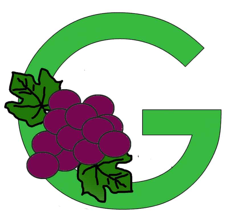 Make this fun and easy letter G grape craft for kids.