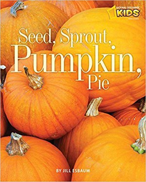 Pumpkin book for the letter p.