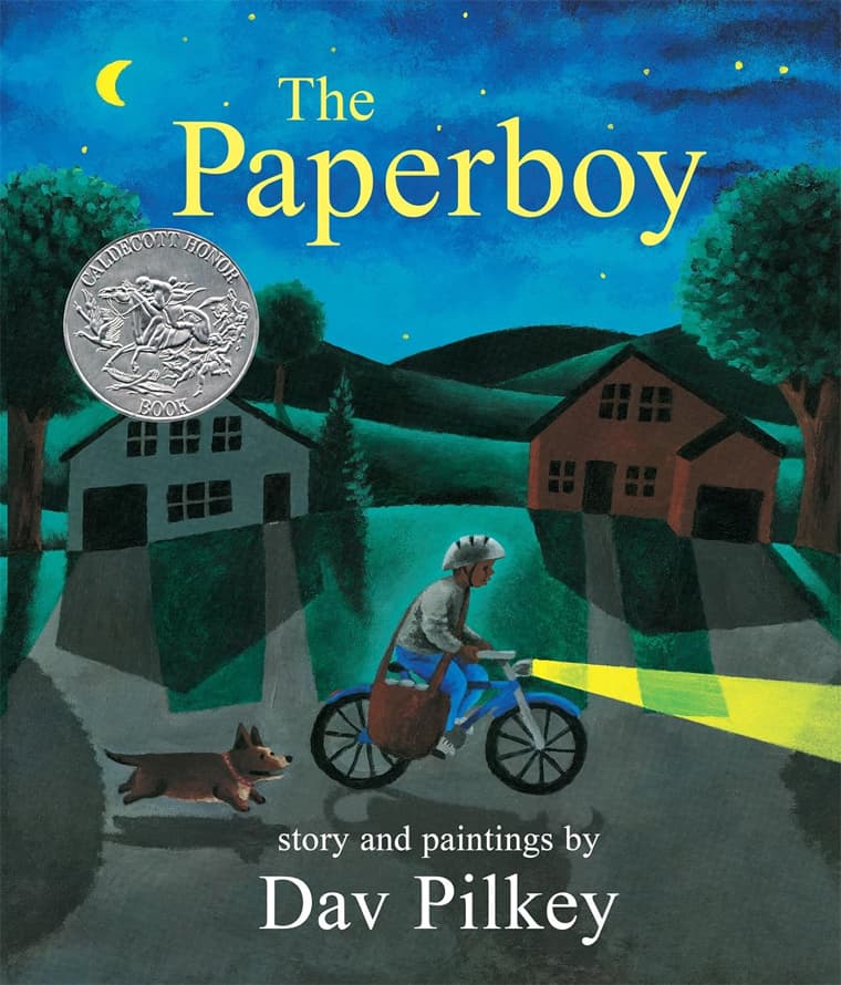 the paperboy book