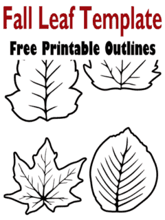 fall leaf template printable outlines