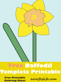 daffodil printable template outline for spring flower craft