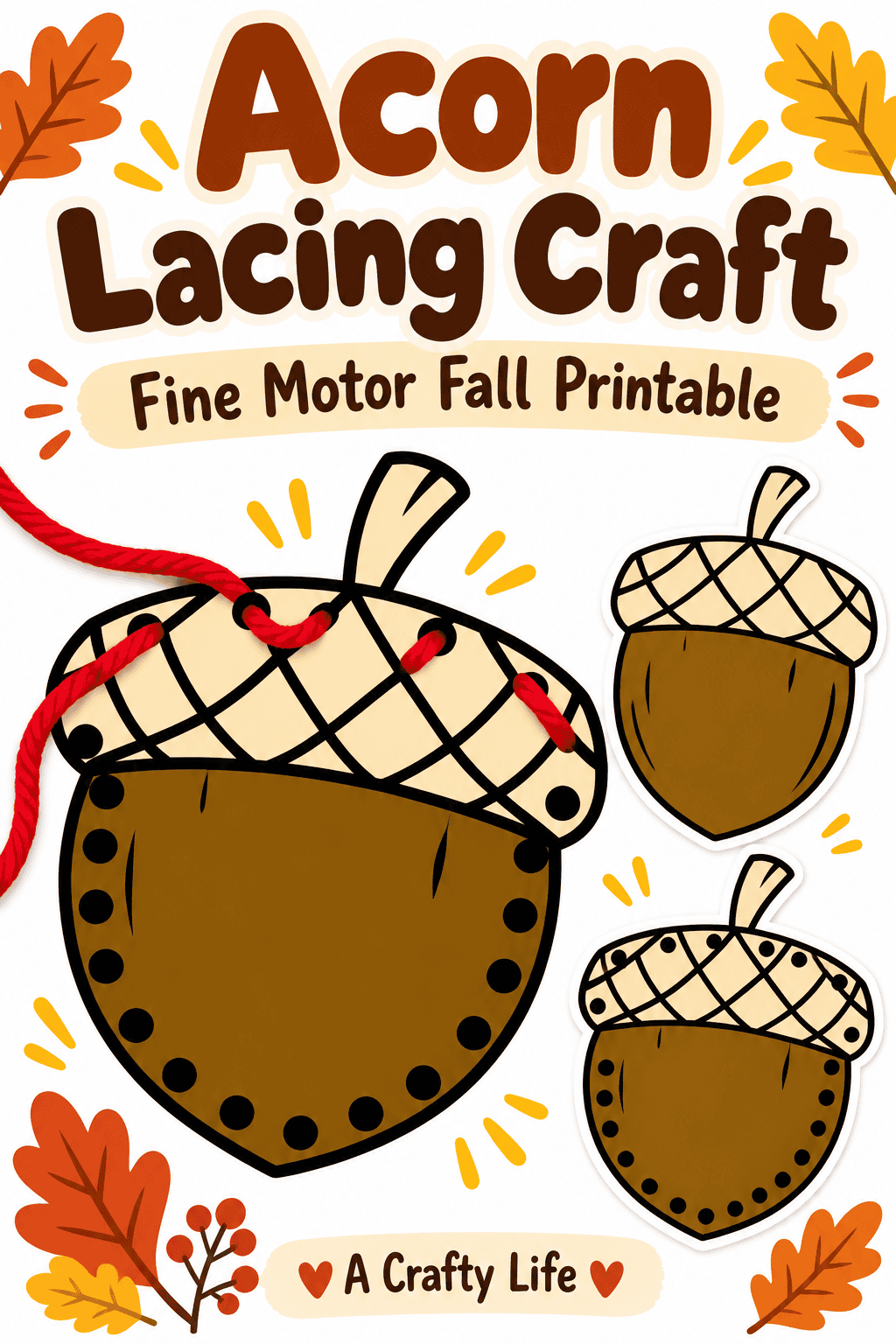 acorn lacing craft graphic