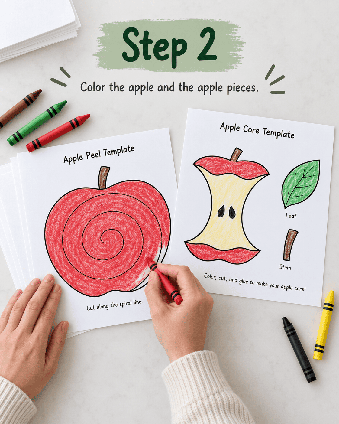 color the apple and pieces photo