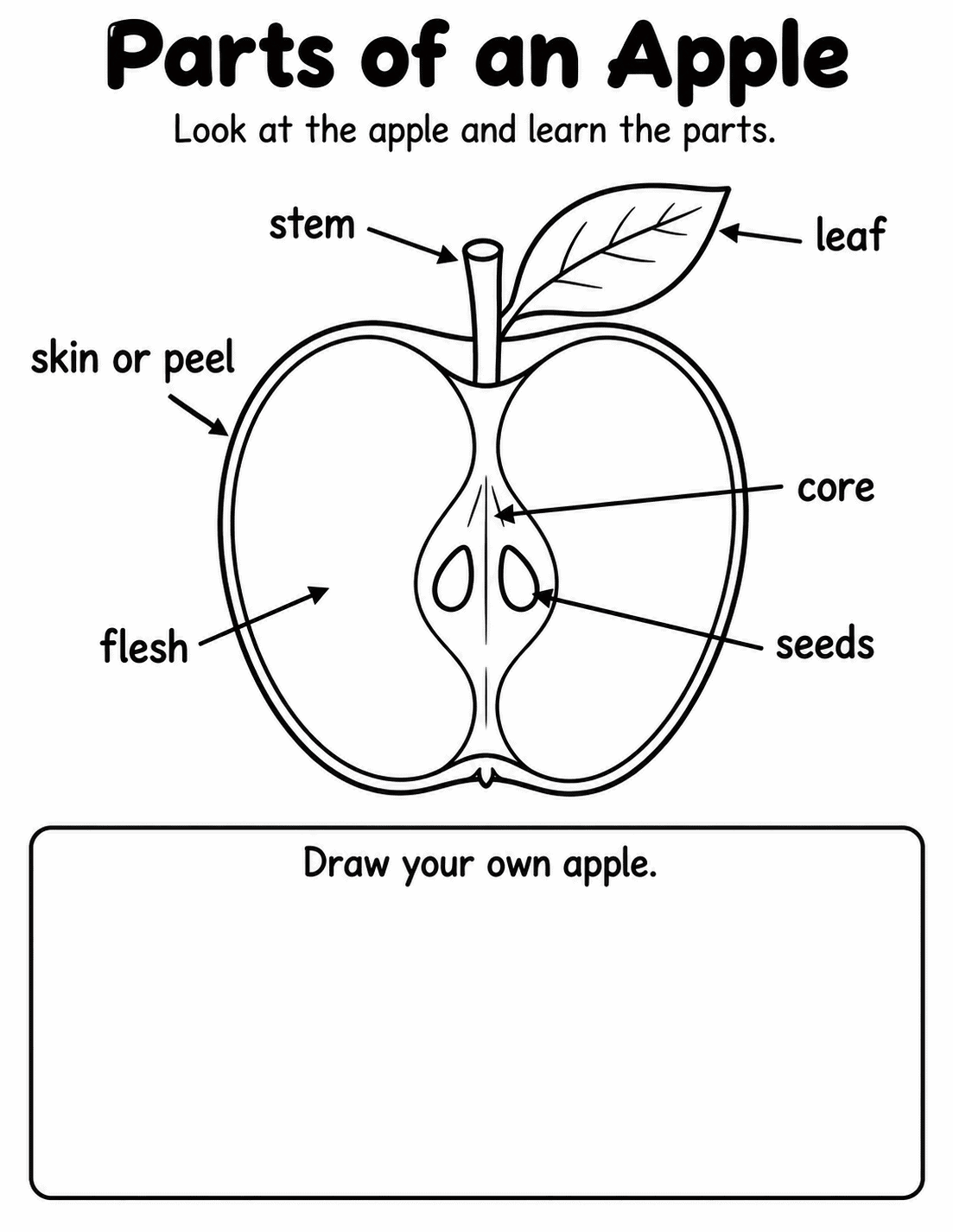 pars of a apple paper